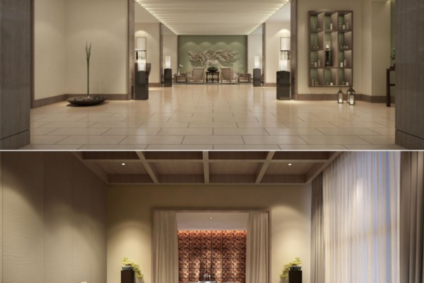 成都白露湿地赏美景，品茗论道好时光